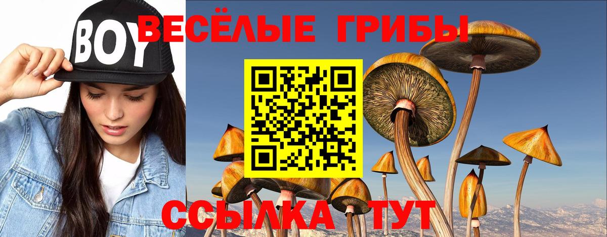 Канск  Псилоцибиновые грибы Psilocybine cubensis  даркнет сайт  Вход с VPN 